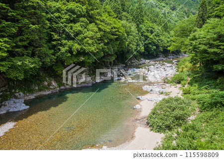 綠樹環繞的山間溪流【岐阜縣板取川】 綠樹環繞的山間溪流【岐阜縣板取川】 115598809