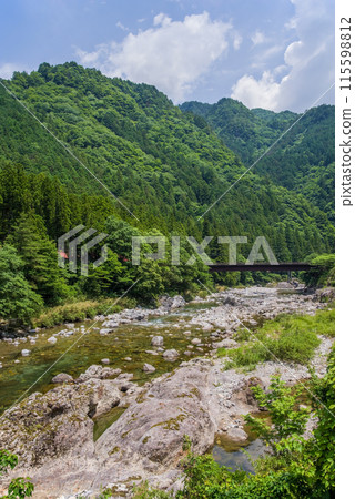 A mountain stream surrounded by greenery [Itadori River, Gifu Prefecture] 115598812