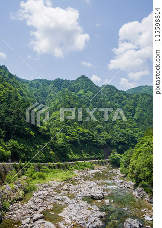 A mountain stream surrounded by greenery [Itadori River, Gifu Prefecture] 115598814