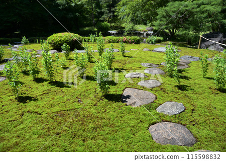 舊三井家下鴨別墅花園 京都市左京區 舊三井家下鴨別墅花園 京都市左京區 115598832