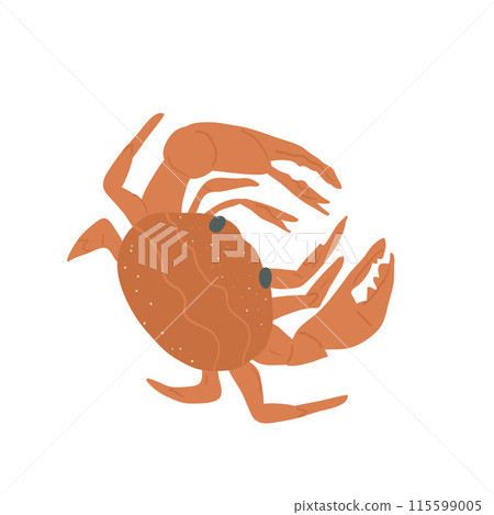 Crab isolated on white background. Marine creature and underwater crustacean. Vector hand drawn flat illustration. Crab isolated on white background. Marine creature and underwater crustacean. Vector hand drawn flat illustration. 115599005