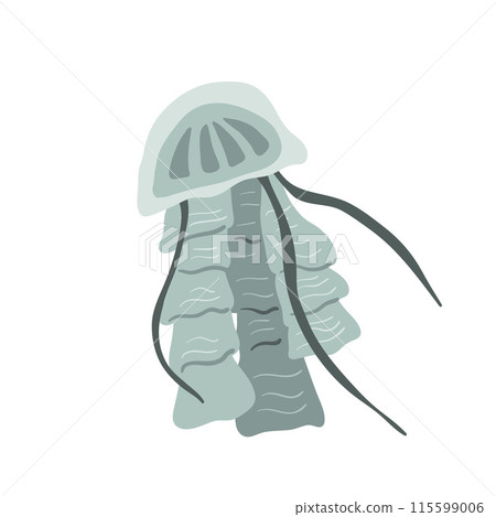 Stylized jellyfish isolated on white background. Aquatic Invertebrate and marine life. Medusa vector hand drawn flat illustration. Stylized jellyfish isolated on white background. Aquatic Invertebrate and marine life. Medusa vector hand drawn flat illustration. 115599006