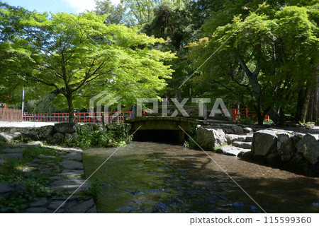 Kamigamo Shrine with fresh greenery, Narano Ogawa, Kita Ward, Kyoto City Kamigamo Shrine with fresh greenery, Narano Ogawa, Kita Ward, Kyoto City 115599360
