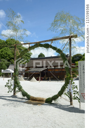 京都市北區上賀茂神社的新綠、白茅 115599366