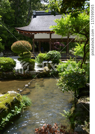 Kamigamo Shrine with fresh greenery, Nara Stream and Hashidono, Kita Ward, Kyoto City Kamigamo Shrine with fresh greenery, Nara Stream and Hashidono, Kita Ward, Kyoto City 115599565