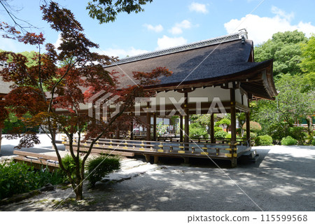鮮綠的上賀茂神社橋殿野京都市北區 鮮綠的上賀茂神社橋殿野京都市北區 115599568