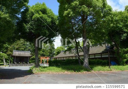 新鮮綠色的上賀茂神社、倉庫與政府大樓,京都市北區 新鮮綠色的上賀茂神社、倉庫與政府大樓,京都市北區 115599571