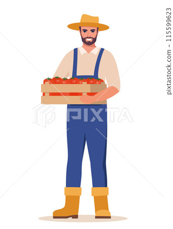 Man farmer holding box of tomatoes in hands. Farming work, gardening. Agricultural worker, Gardener, agronomist. Vector illustration. Man farmer holding box of tomatoes in hands. Farming work, gardening. Agricultural worker, Gardener, agronomist. Vector illustration. 115599623