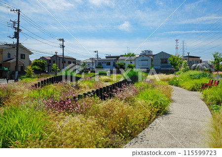 玻璃觀賞園 宮前公園 115599723