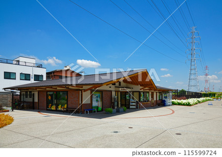Miyamae Park Management Office and Annabelle Hydrangea 115599724