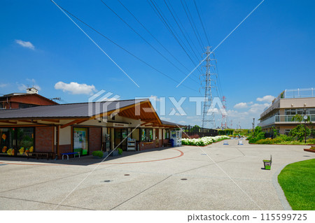 宮前公園管理所和白安娜貝爾繡球花 115599725