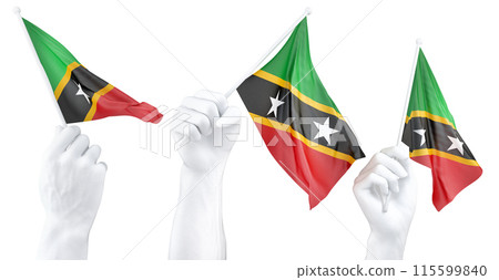 Hands waving Saint Kitts and Nevis flags isolated on white Hands waving Saint Kitts and Nevis flags isolated on white 115599840