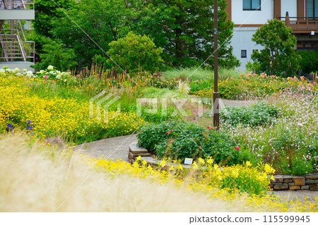 多彩花園觀賞玻璃宮前公園 115599945