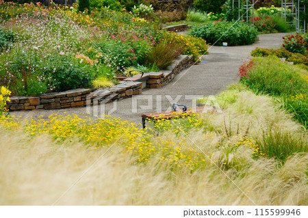 多彩花園觀賞玻璃宮前公園 多彩花園觀賞玻璃宮前公園 115599946