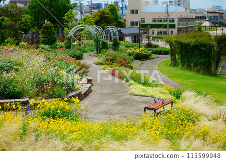 多彩花園觀賞玻璃宮前公園 115599948