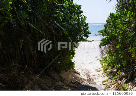 Road leading to the sea 115600086