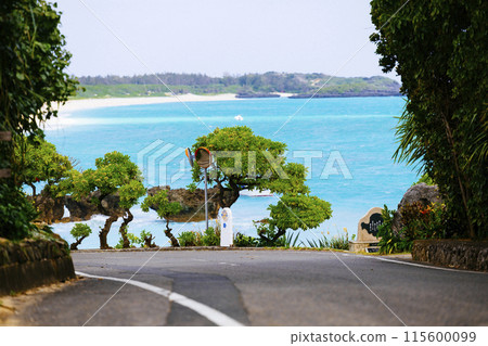 通往大海的路 115600099