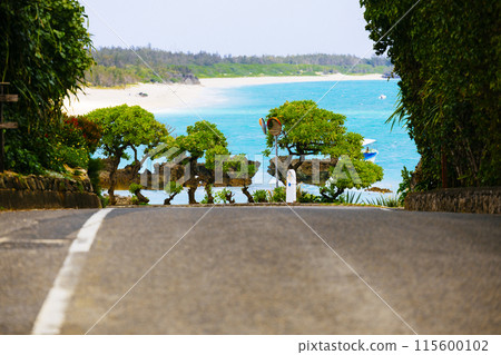 Road leading to the sea Road leading to the sea 115600102