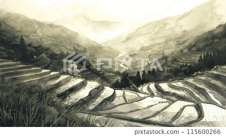 Sumi-e art of Japanese rice terraces shrouded in mist 115600266