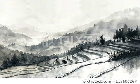 Sumi-e art of Japanese rice terraces shrouded in mist 115600267