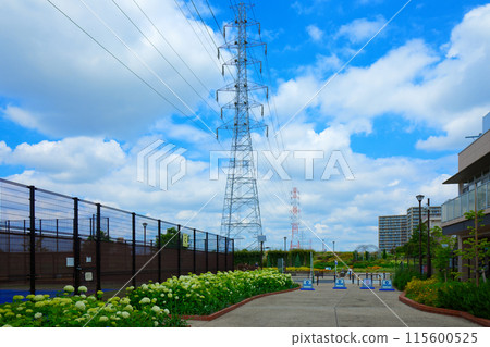 Annabelle and the Blue Sky, Miyamae Park 115600525