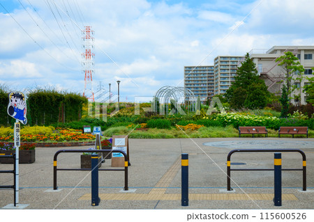 Miyamae Park Colorful Garden Flower Bed Miyamae Park Colorful Garden Flower Bed 115600526
