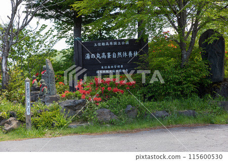 Yunomaru Plateau Jizo Pass 115600530