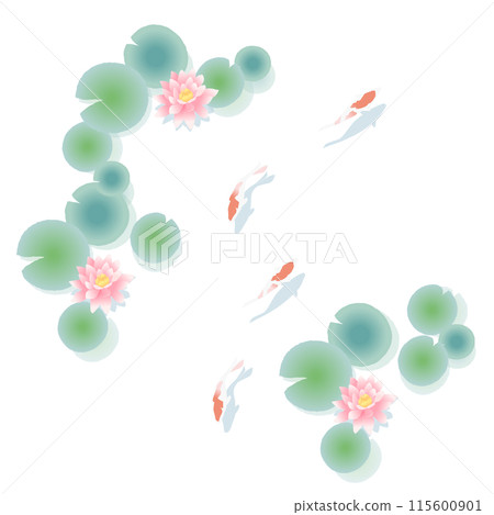 錦鯉在睡蓮池裡游泳的插圖 115600901