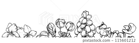 Spring flowers drawing with line-art on white background 115601212