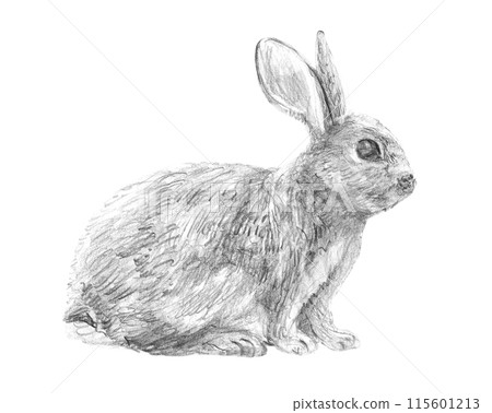 Hand Drawn Sketch Rabbit for Your Design. Ink cute bunny Hand Drawn Sketch Rabbit for Your Design. Ink cute bunny 115601213