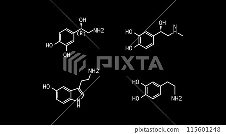 Catecholamines vector formula illustration isolated 115601248