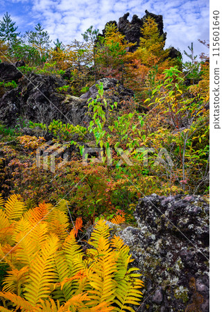 Onioshidashi Park in Autumn [Tsumagoi Village, Agatsuma District] 115601640