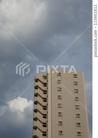 Mansion 115601811