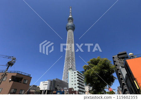 Tokyo Sky Tree 115602355