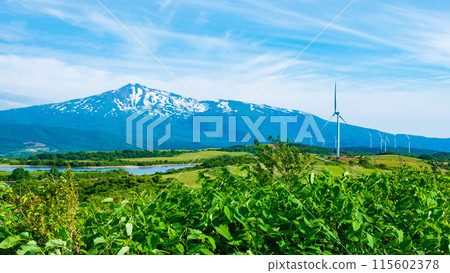 Nikaho Plateau (view of Mt. Chokai) 115602378