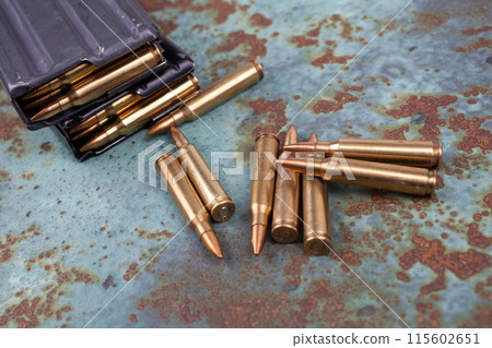 Ammunition with magazine on wooden 115602651