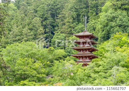 The five-story pagoda seen from the outer stage of the main hall at Hasedera Temple (Nara Prefecture) in June The five-story pagoda seen from the outer stage of the main hall at Hasedera Temple (Nara Prefecture) in June 115602707