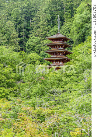 The five-story pagoda seen from the outer stage of the main hall at Hasedera Temple (Nara Prefecture) in June The five-story pagoda seen from the outer stage of the main hall at Hasedera Temple (Nara Prefecture) in June 115602708