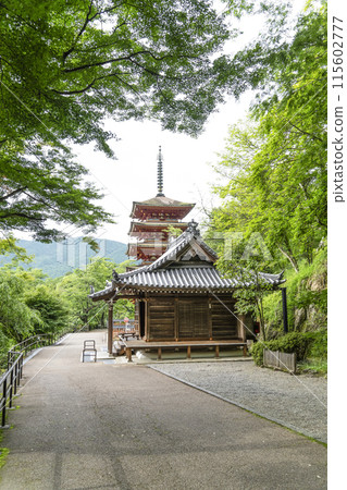 Hasedera Temple (Nara Prefecture) in June - Five-story pagoda 115602777