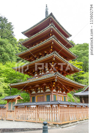 六月的長谷寺(奈良縣)五層寶塔 六月的長谷寺(奈良縣)五層寶塔 115602794