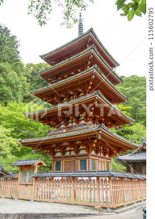 六月的長谷寺（奈良縣）五層寶塔 115602795