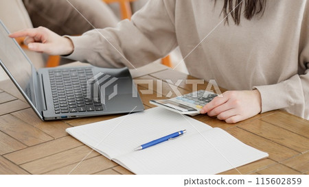 一名婦女在網路上研究和計算成本 115602859