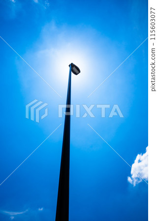 Early summer blue sky and street lights looking up at the sun Vertical High saturation Early summer blue sky and street lights looking up at the sun Vertical High saturation 115603077