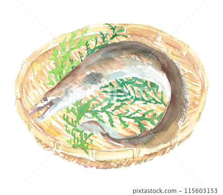 Watercolor illustration of a conger eel 115603153