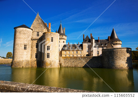 Great Chateau de Sully-sur-Loire 115603552