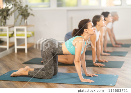 Woman performing Cat Cow Pose at group yoga class 115603731