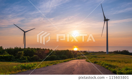 仁賀保高原（夜景） 115603801