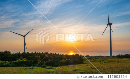 Nikaho Plateau (evening view) 115603834