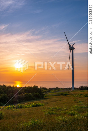 Nikaho Plateau (evening view) 115603853