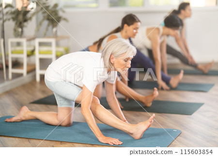 Elderly woman doing pilates in group in studio Elderly woman doing pilates in group in studio 115603854